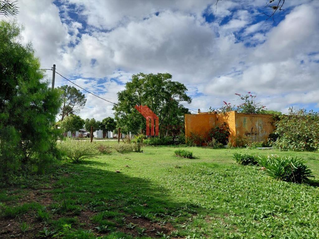 Venta casa y local y terreno,Mendoza Chico,
