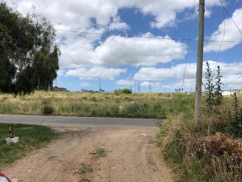 AL502/2 Venta Gran Terreno En Sayago Norte