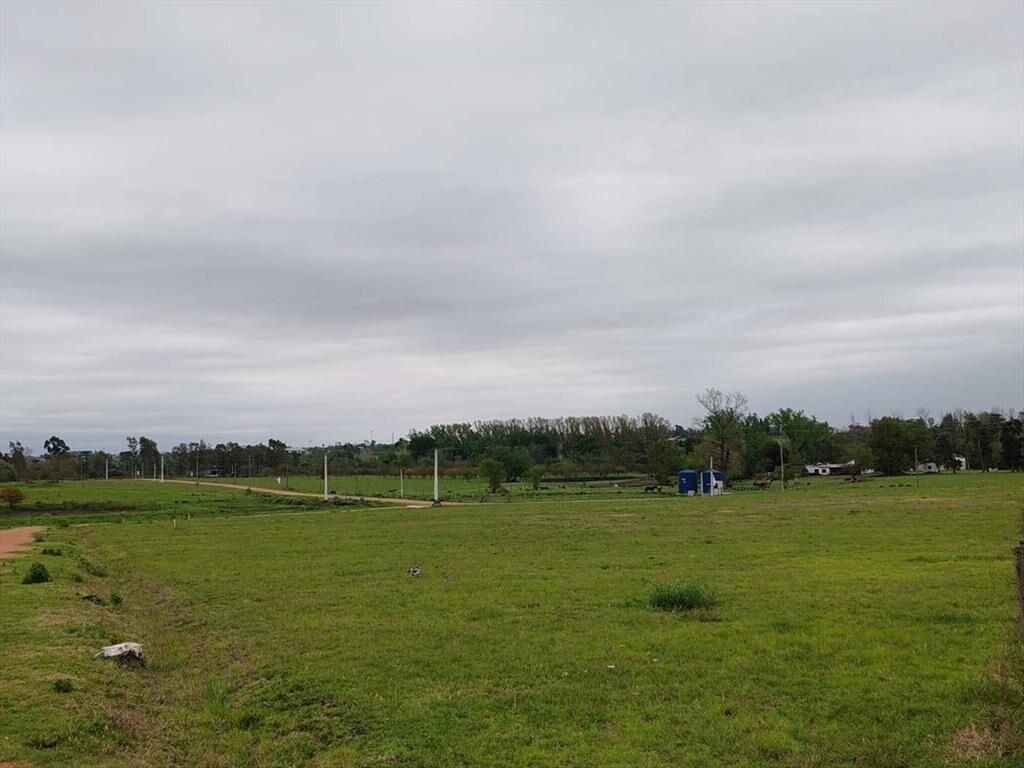 COMPRA TU TERRENO A USD 19.5 m2