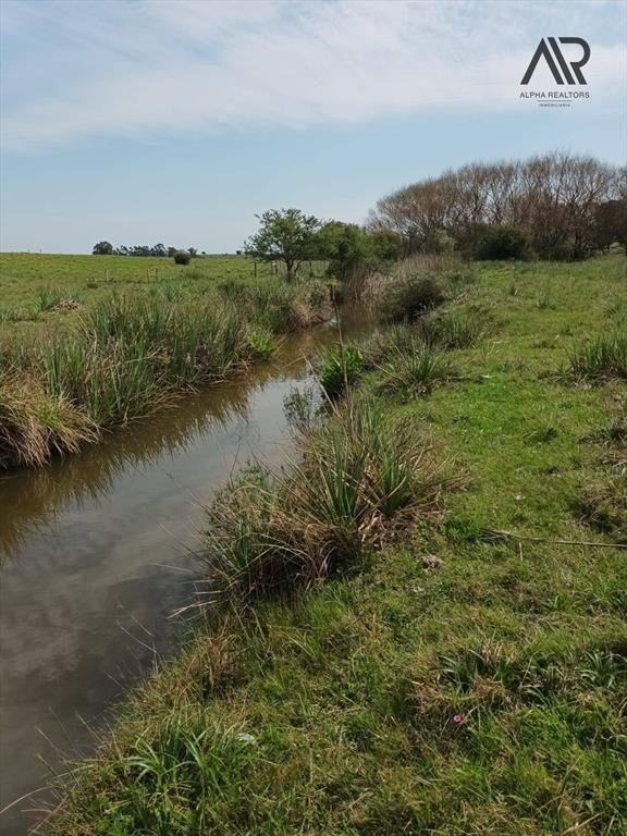 Chacra en venta de 10ha ubicado en San Carlos