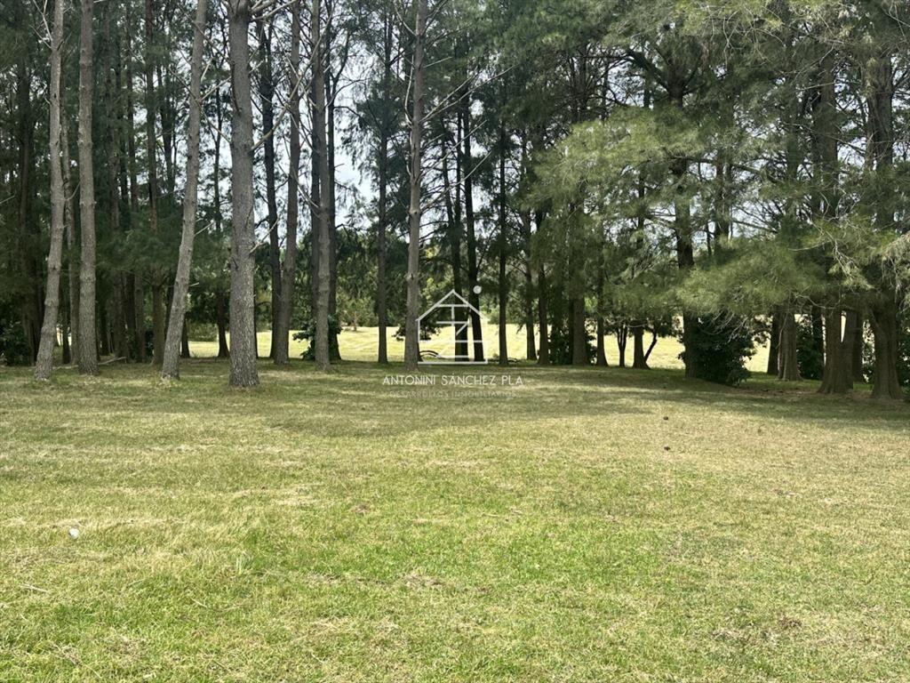 Venta chacra en punta Ballena