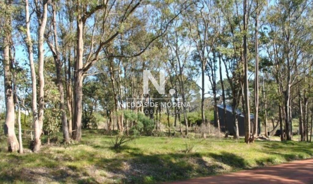 Terreno en venta en Barraverde, apto para bloque