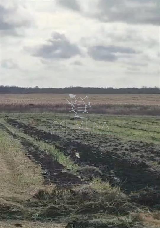 Campo en Canelones