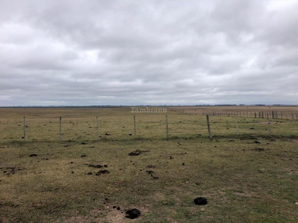 Establecimientos Ganadero Agrícolas I Cerro Largo I Ha: 650