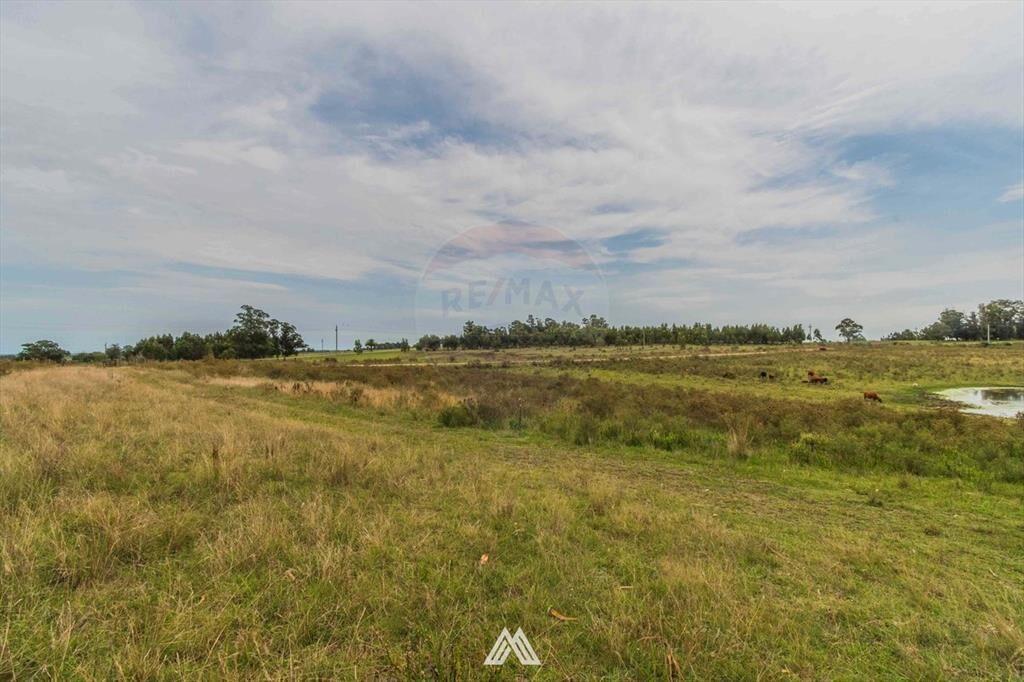 Venta de campo 12Ha. con casa en Ruta 80 Migues