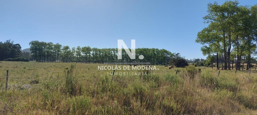 Venta fracción de campo en zona La Pataia