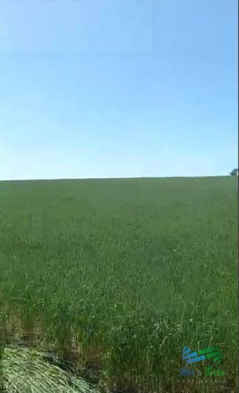 Excelente ubicación, Campo Mixto a poca de todo