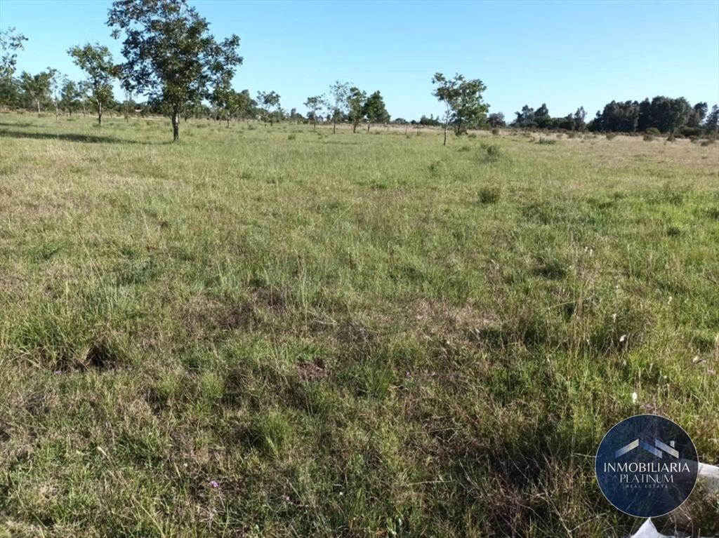 Campo en venta de 9503m2 ubicado en Santa Monica