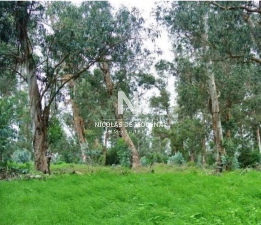 Terreno en venta a poca distancia del centro de