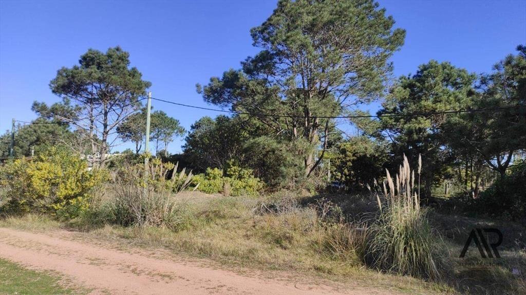 Terreno en venta de 592m2 ubicado en Punta del Diablo