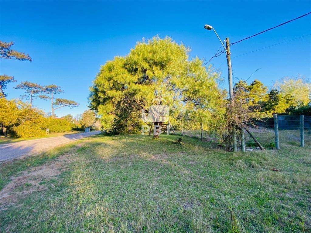 Lote en Tio Tom, Punta Ballena - Ref : PBI2756