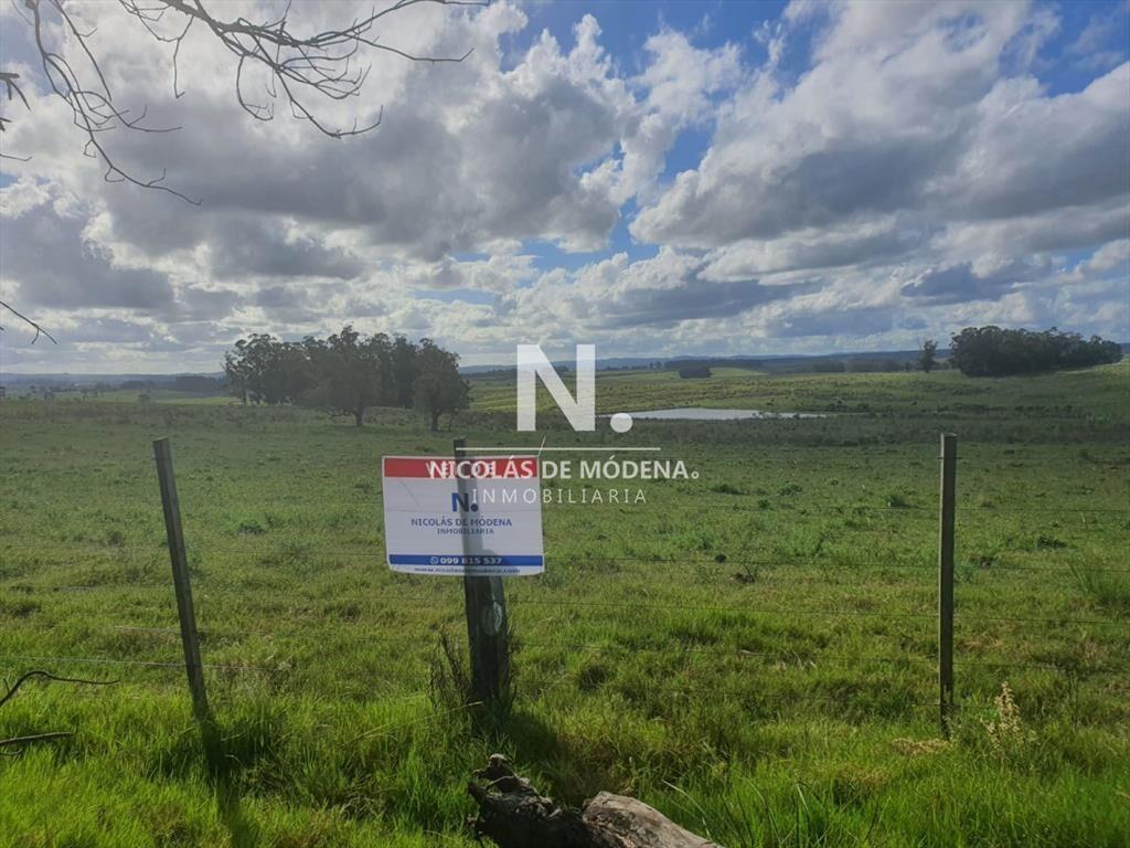 Campo de 63 hectáreas en Venta - Producción y