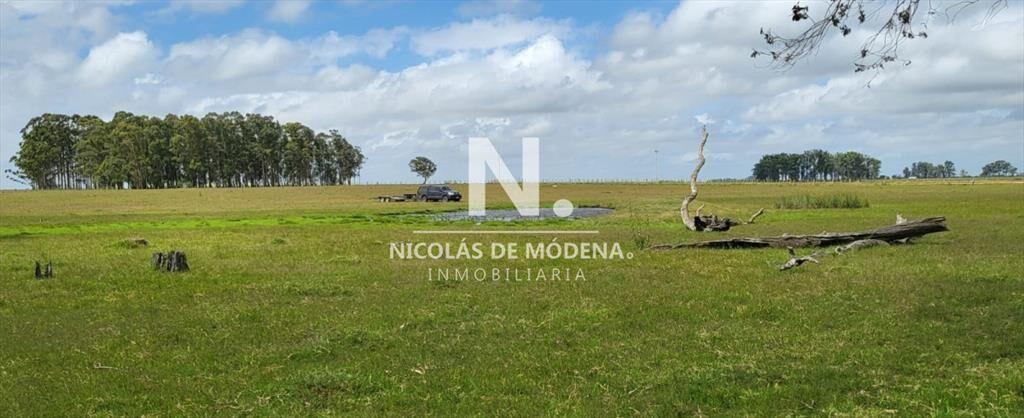En venta campo en Treinta y Tres, ubicado a 12 de