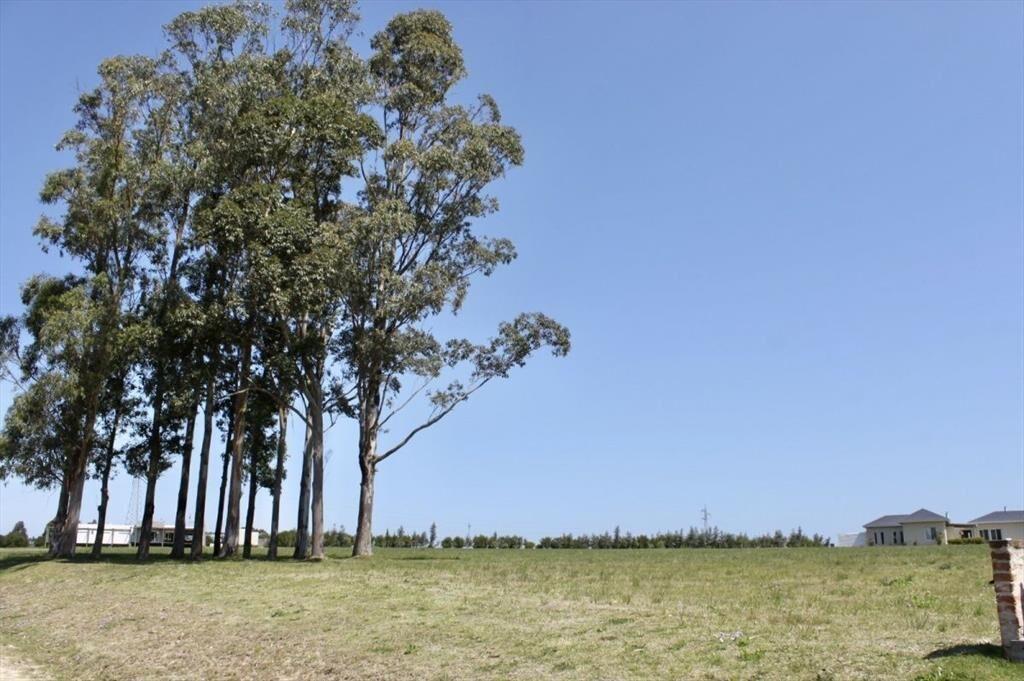 Terreno en venta - Zona Barra