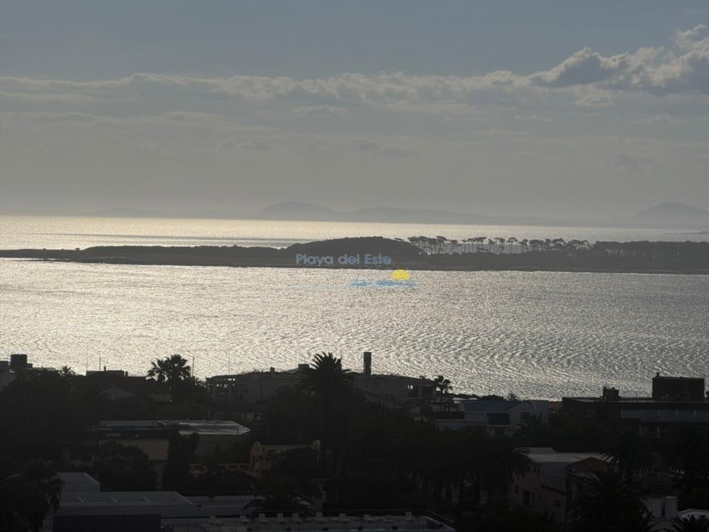 Apartamento en venta de 1 dormitorios en Punta ,