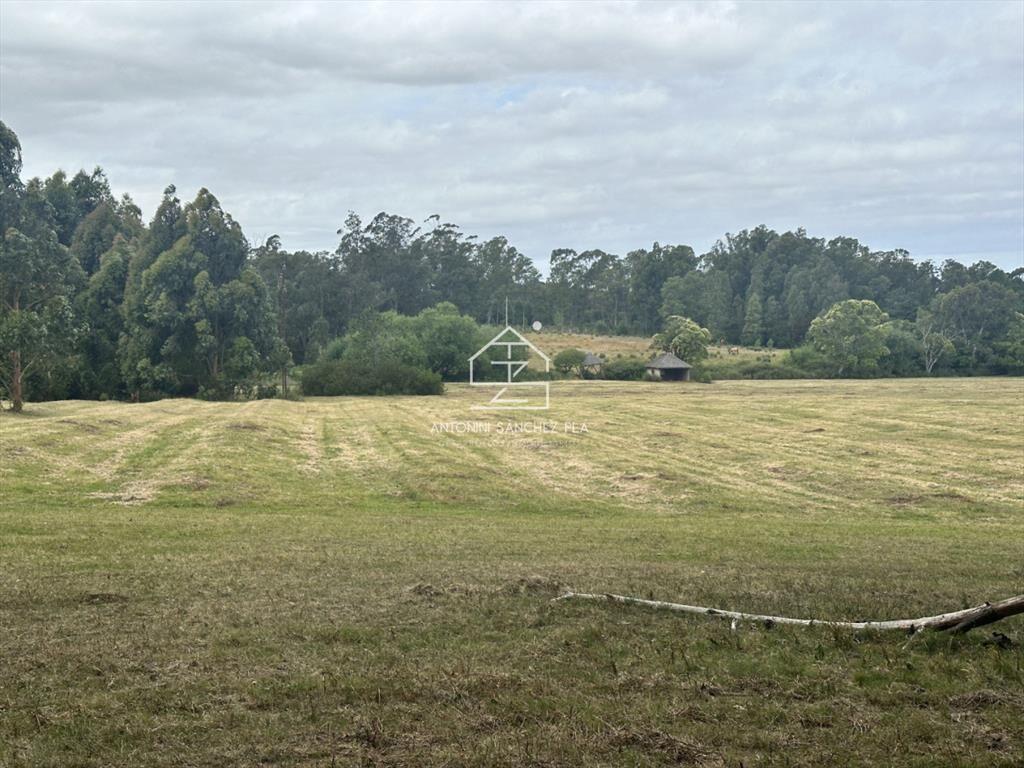Venta chacra en punta Ballena