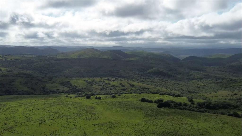 Campo 221 há Caza Mayor y Turismo sobre Ruta 98 — Sierra, A