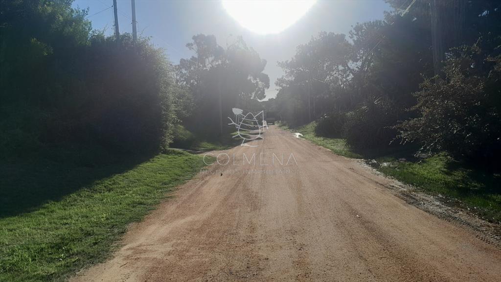 Terreno en Punta Ballena, Tio Tom