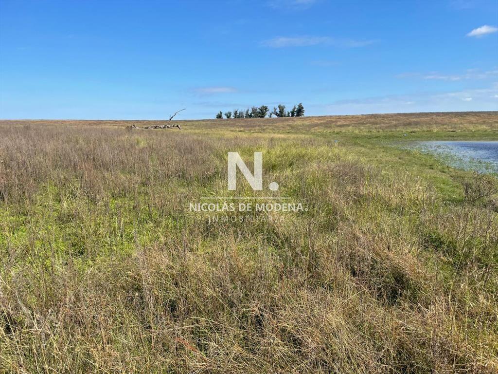 Campo en venta en hermosa zona