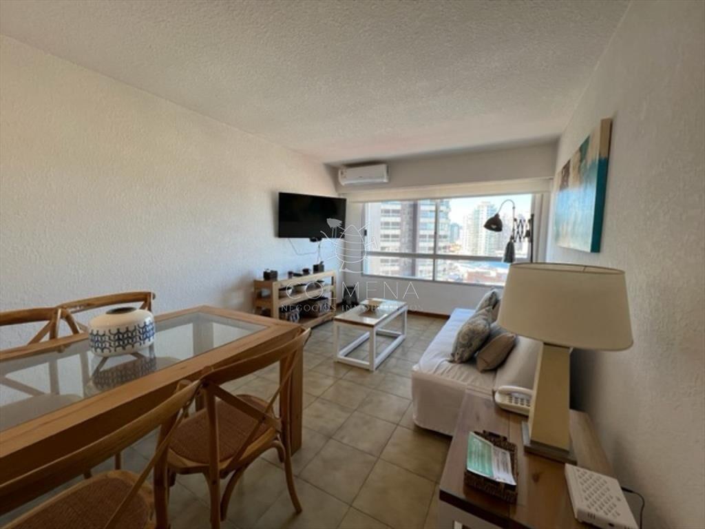 Hermoso apartamento 1 dormitorio con VISTA!