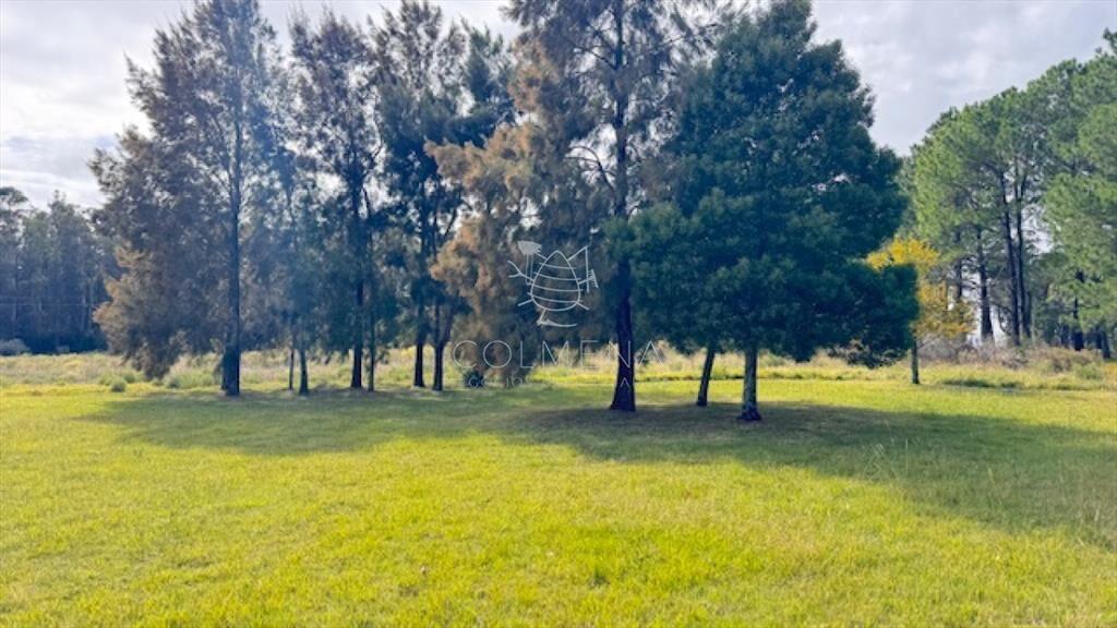 Campo 12 has con casa y piscina a 21 km de Punta