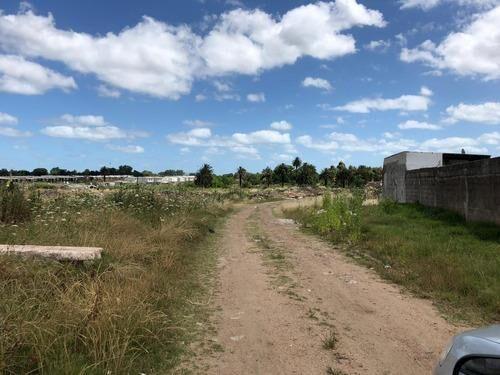 AL502/2 Venta Gran Terreno En Sayago Norte