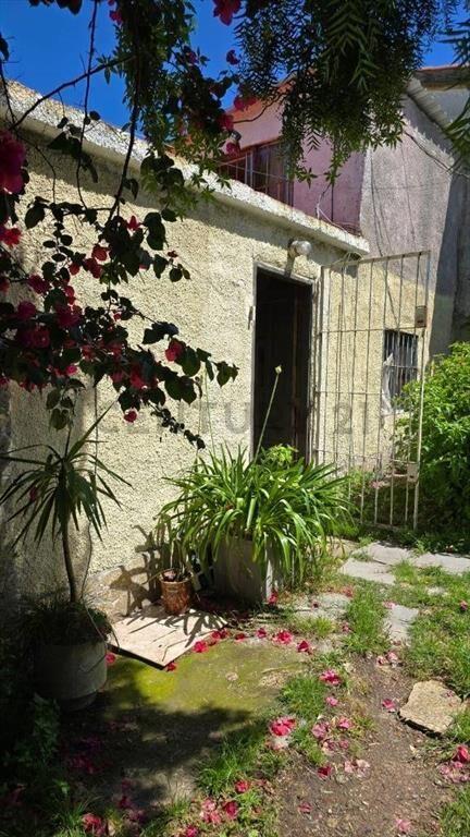 2 Casas mismo padrón-660m2- BUCEO SUR -Propios-jardín/fon...