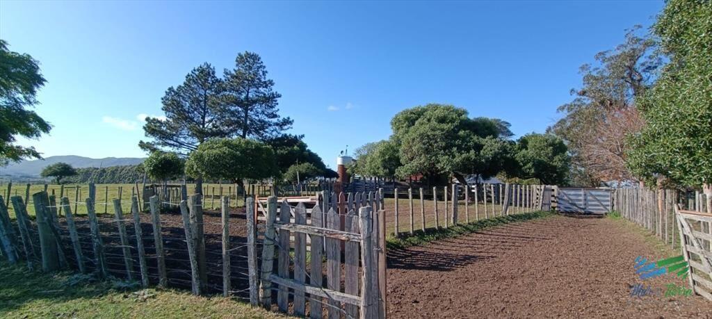 Muy buen campo mixto Ganadero-Forestal de 690 Has