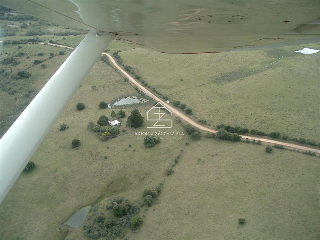 Venta Campo Ganadero Forestal Rocha