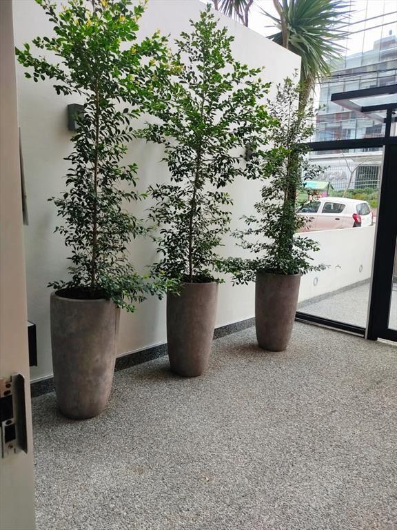 Alquiler de apartamento 1 dormitorio amoblado en pocitos