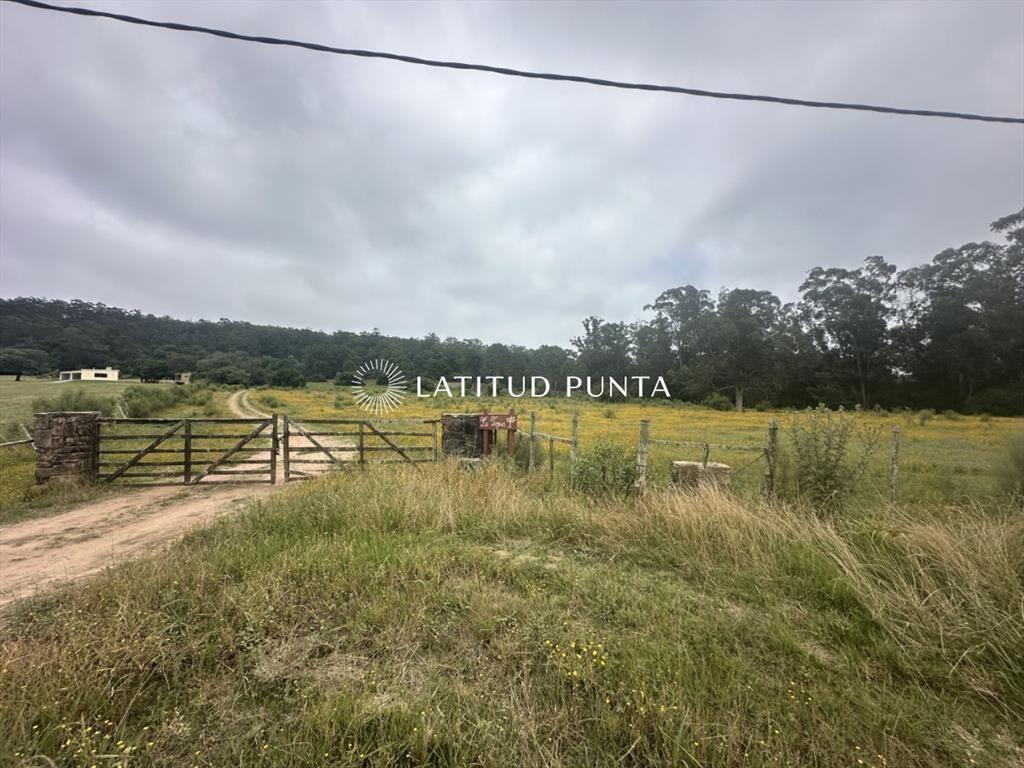 Chacra en zona La Pataia. Punta Ballena