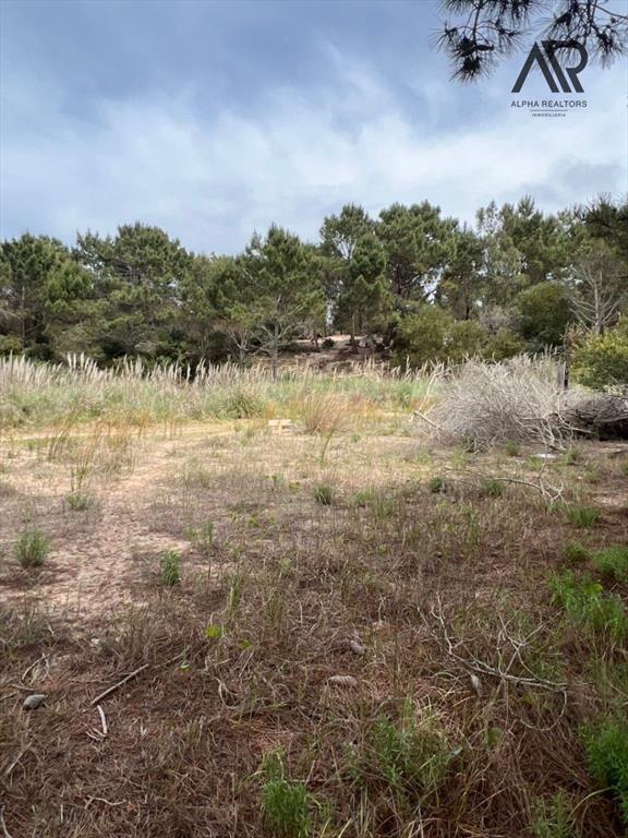 Terreno en venta en Paseo La Viuda, Punta del Diablo