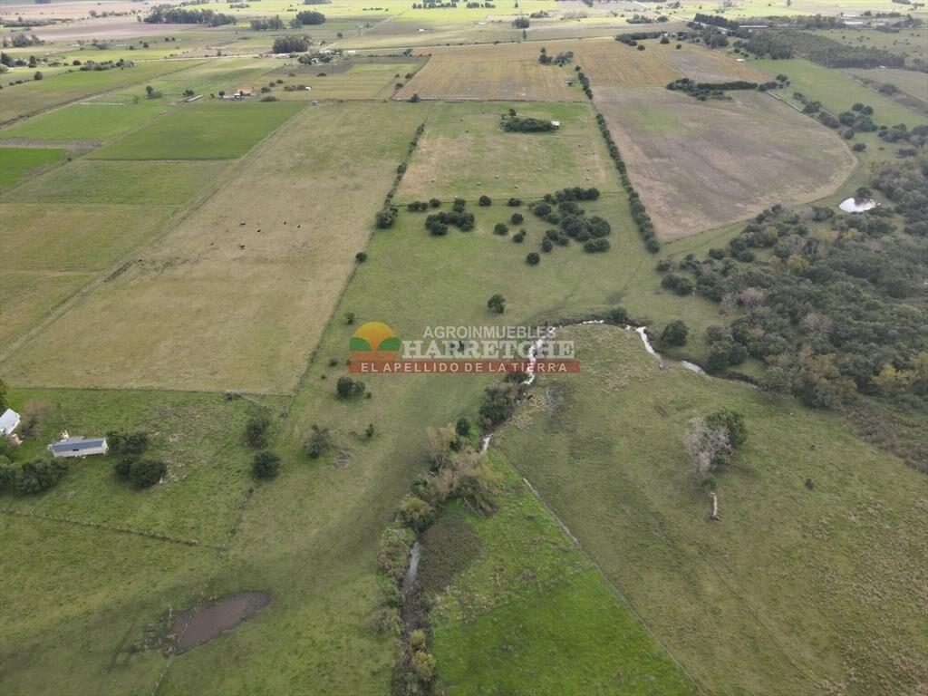 Chacra de 5 has en Los Cerrillos, cañada, muy