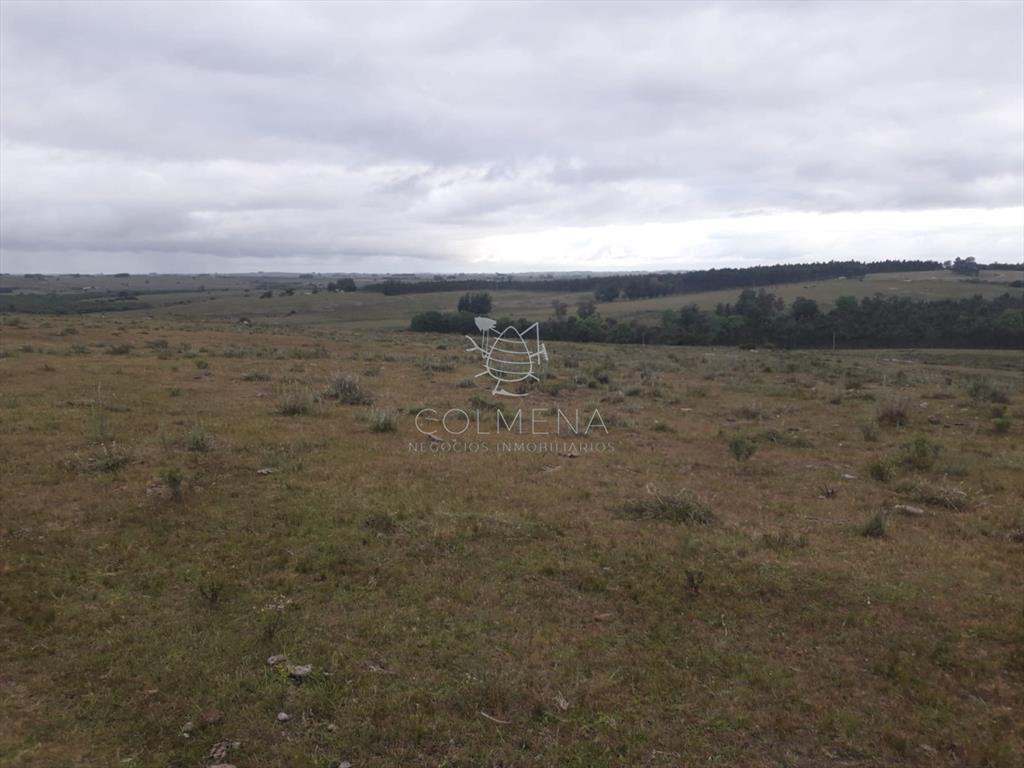 Campo de 47 has en Paraje los Caracoles - !!!!!