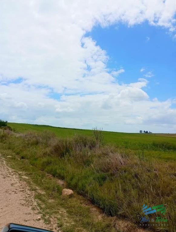 150 Has Campo Agrícola Ganadero a tan solo 10 de