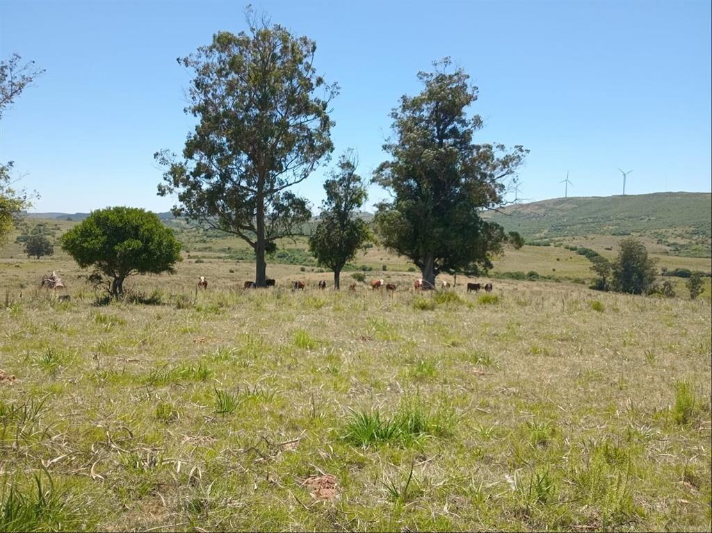 CAMPO EN VENTA - SIERRAS DEL CARAPE - MALDONADO