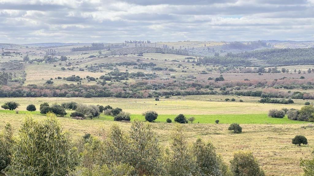 Chacra 5 has en Campanero con buena vistas y