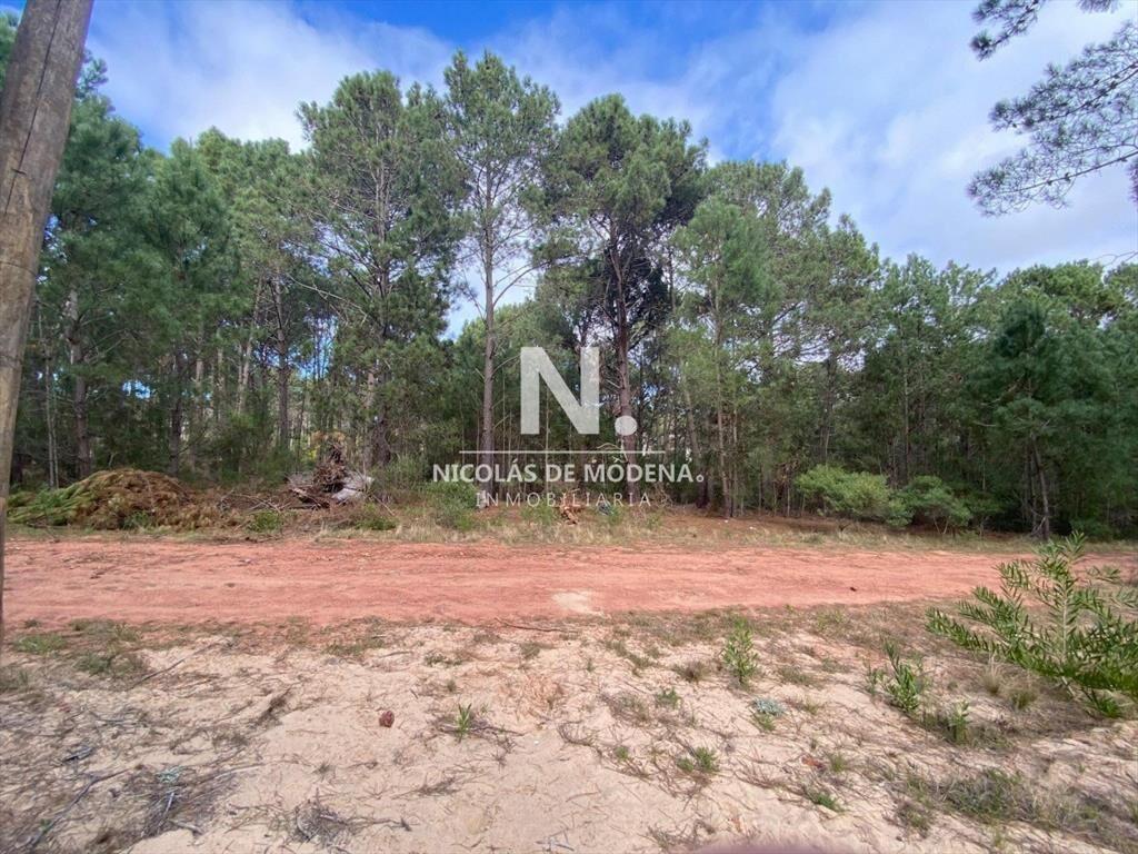 OPORTUNIDAD. TERRENO EN VENTA EN CLUB DEL LAGO,