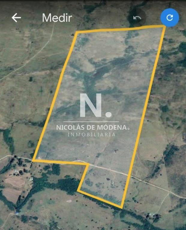 Campo de 95hás.