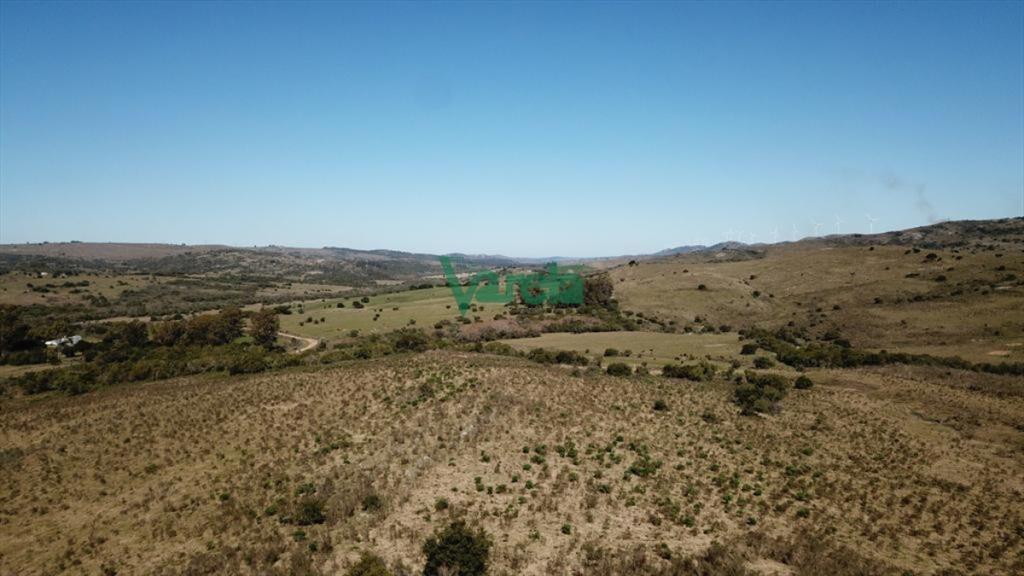 Campo de 86 has a la altura del km 58 Ruta 39