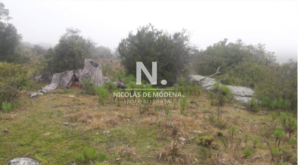 Campo Ganadero en Venta en Aigua