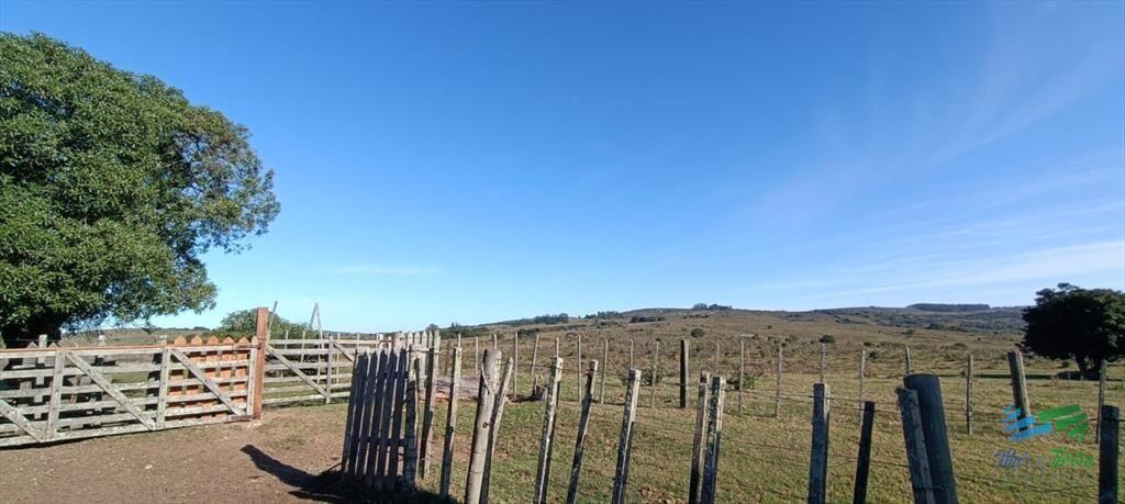Muy buen campo mixto Ganadero-Forestal de 690 Has