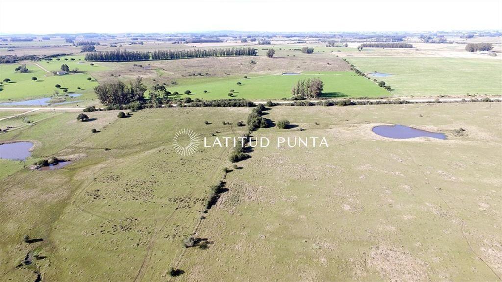 Campo de 22 has próximo a San Carlos y Punta del