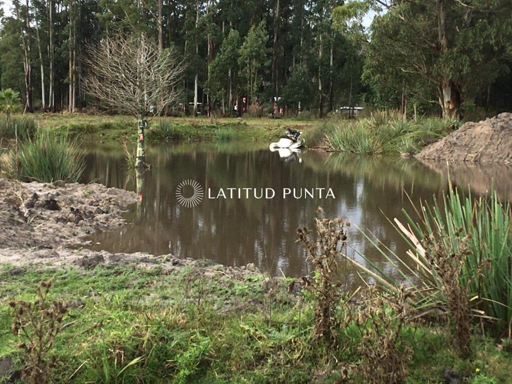 Chacra en La Pataia, Punta Ballena