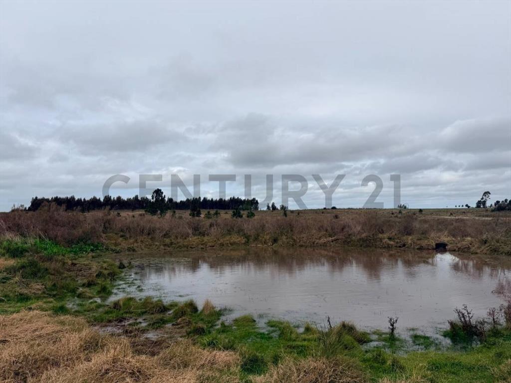 Campo Alambrado en San Jacinto, C/ Gran Tajamar, Zona alt...