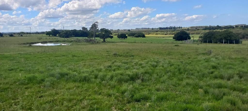 Campo en Rocha