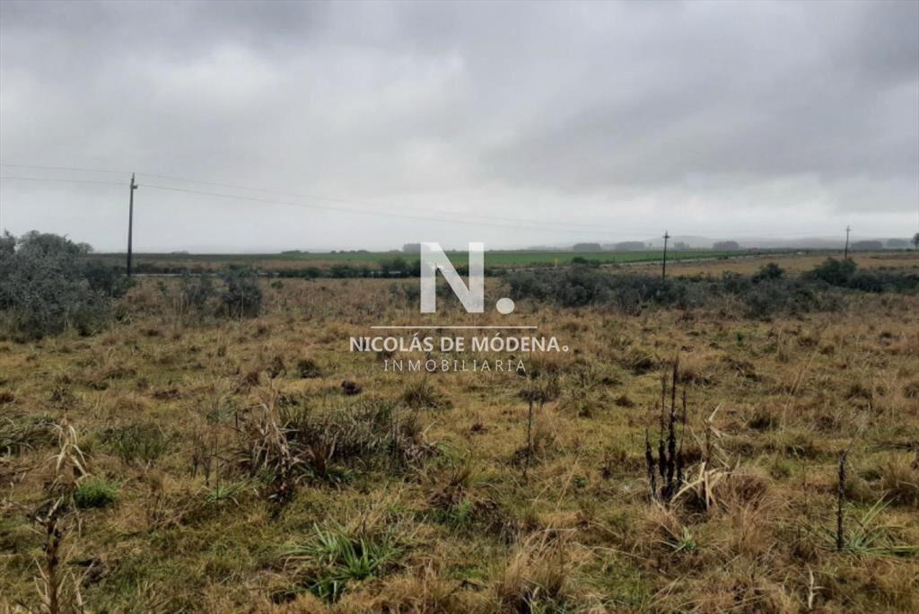 Campo en Maldonado - Garzon en venta.