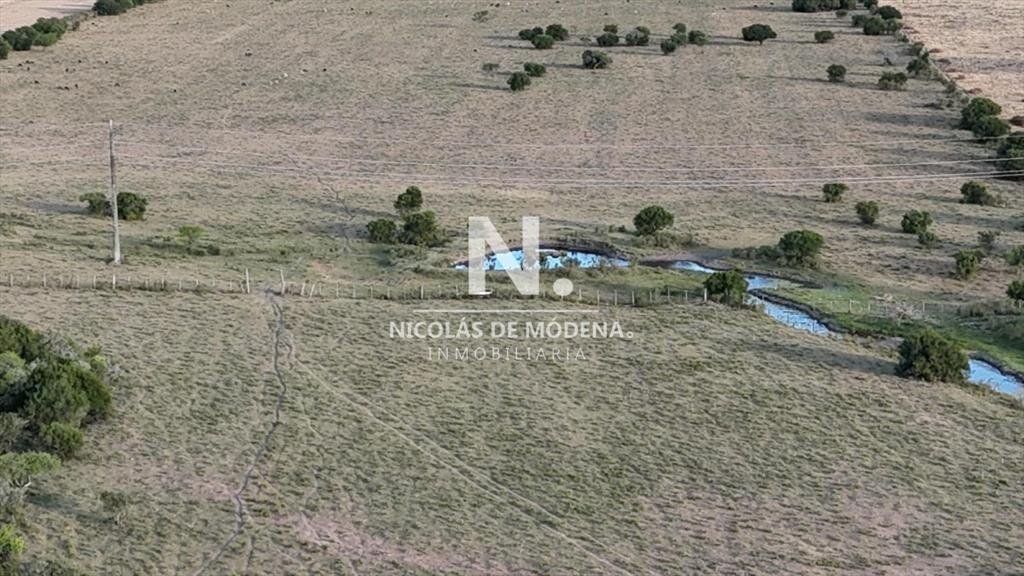 OPORTUNIDAD VENTA DE CHACRA 18 HAS 795 M2 ZONA DE
