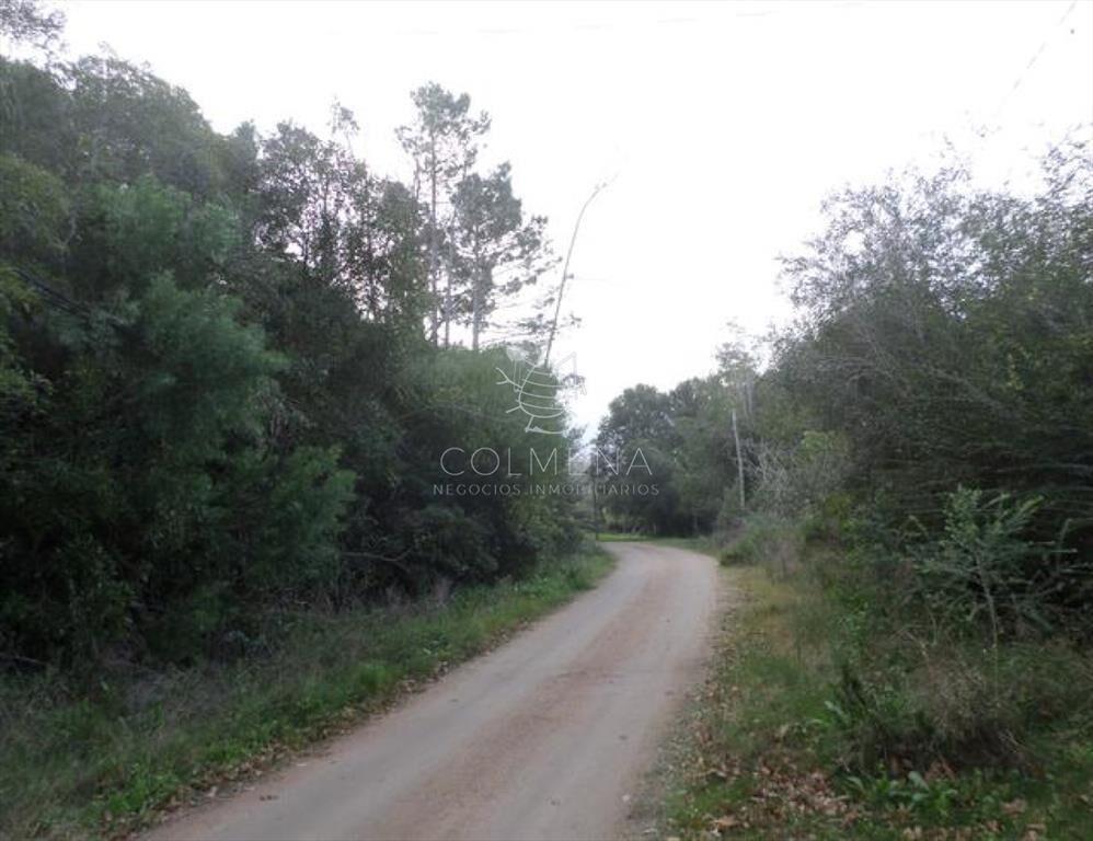 Punta Ballena - Zona Rinconada