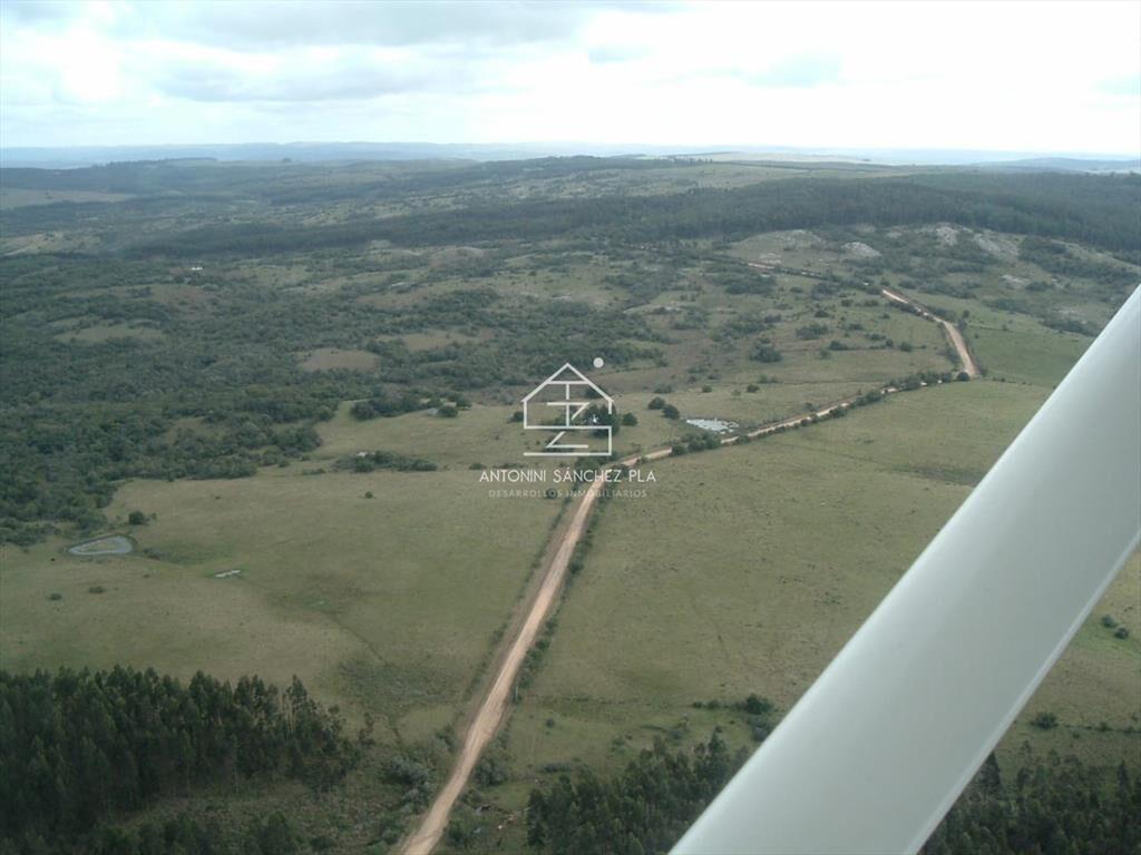 Venta Campo Ganadero Forestal Rocha